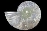 Agatized Ammonite Fossil (Half) - Madagascar #88247-1